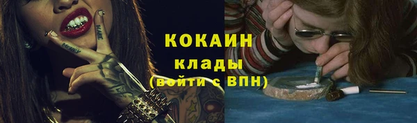 ALPHA PVP Елизово