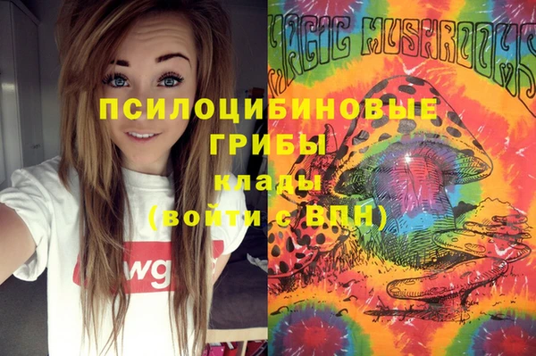 ALPHA PVP Елизово